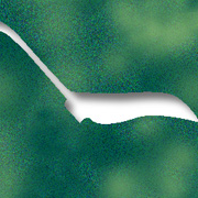 myIgniter logo
